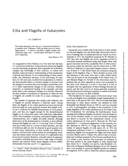 Cilia and Flagella of Eukaryotes