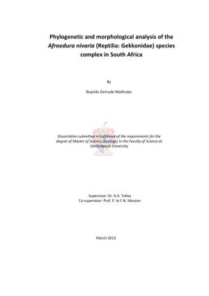 Phylogenetic and Morphological Analysis of the Afroedura Nivaria (Reptilia: Gekkonidae) Species Complex in South Africa