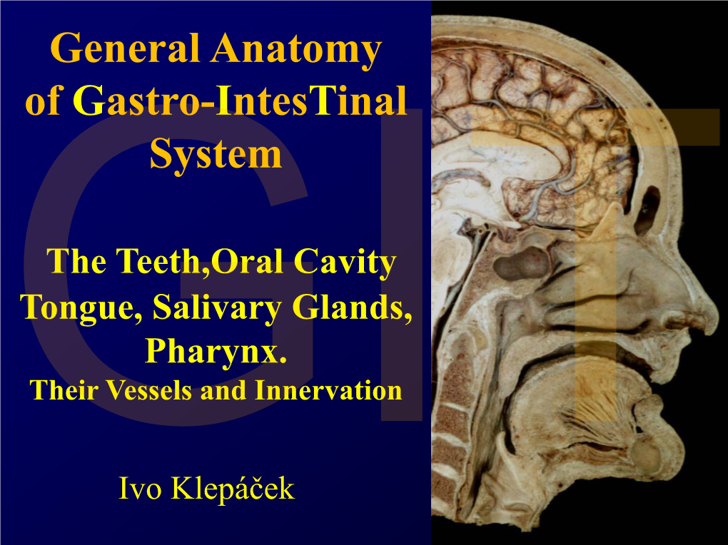 The Teeth,Oral Cavity Tongue, Salivary Glands, Pharynx. Their Vessels and Innervation Gitivo Klepáček Digestive System