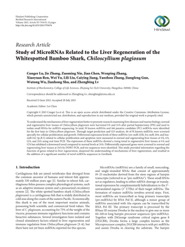 Research Article Study of Micrornas Related to the Liver Regeneration of the Whitespotted Bamboo Shark, Chiloscyllium Plagiosum