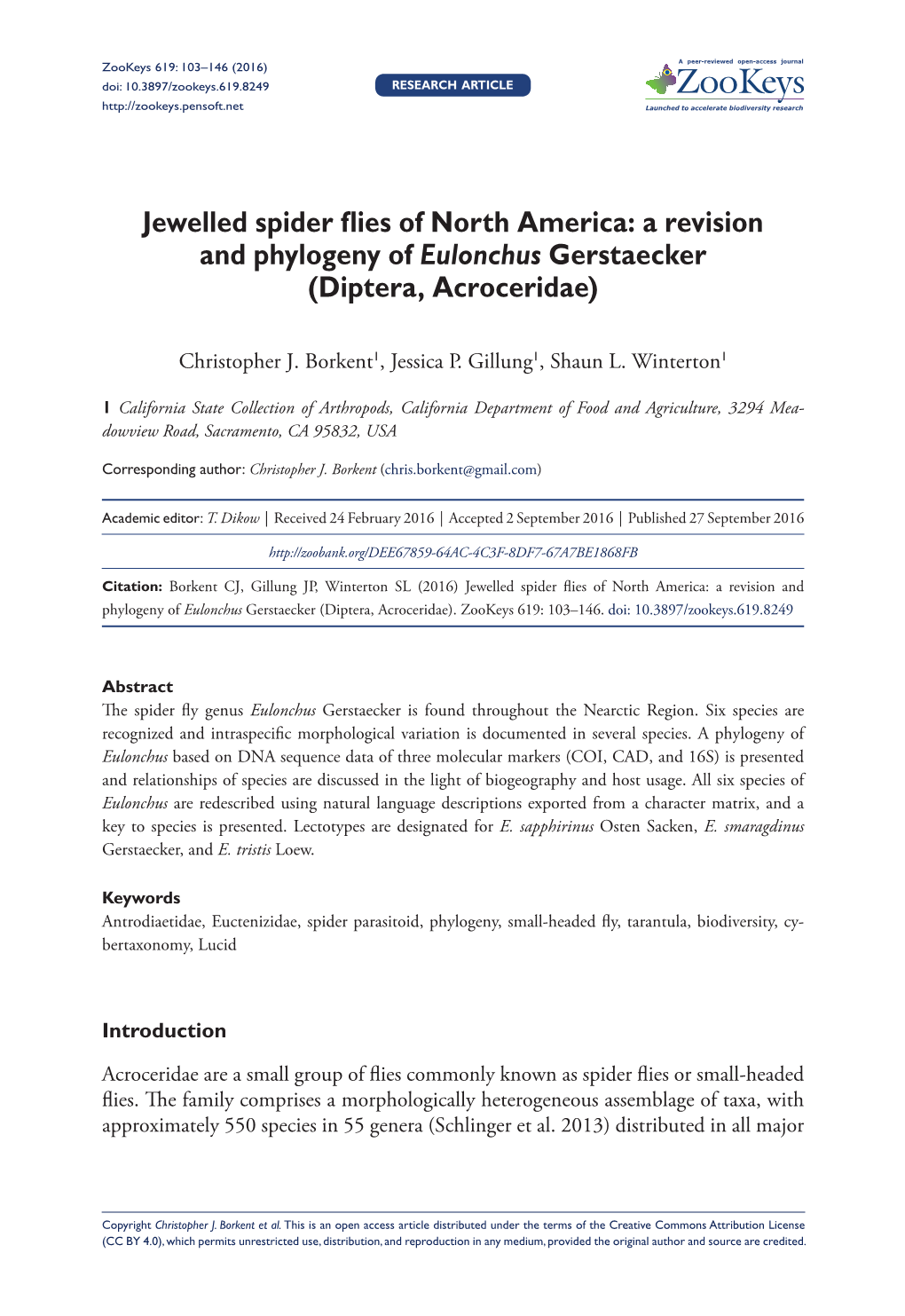 A Revision and Phylogeny of Eulonchus Gerstaecker (Diptera, Acroceridae)