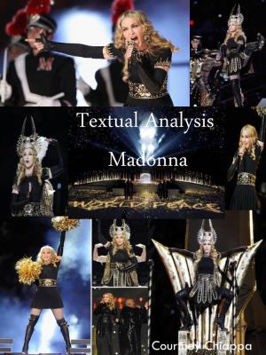Textual Analysis Madonna