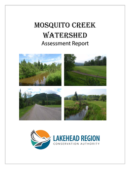 Mosquito Creek Watershed Assessment Report 2015