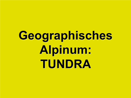 Geographisches Alpinum: TUNDRA TUNDRA Tundra