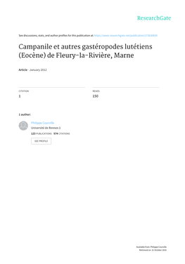 Campanile Et Autres Gastéropodes Lutétiens (Eocène) De Fleury-La-Rivière, Marne