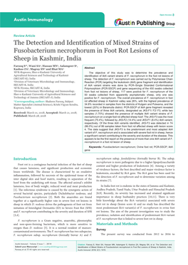 The Detection and Identification of Mixed Strains of Fusobacterium Necrophorum in Foot Rot Lesions of Sheep in Kashmir, India