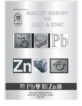 Market Survey on Lead and Zinc
