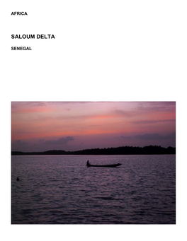 Saloum Delta