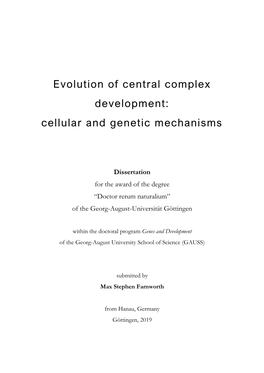 Evolution of Central Complex Development: Cellular and Genetic Mechanisms