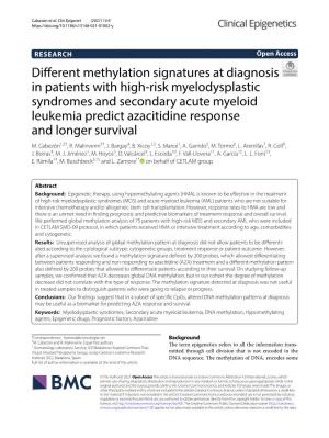 Different Methylation Signatures at Diagnosis in Patients with High-Risk