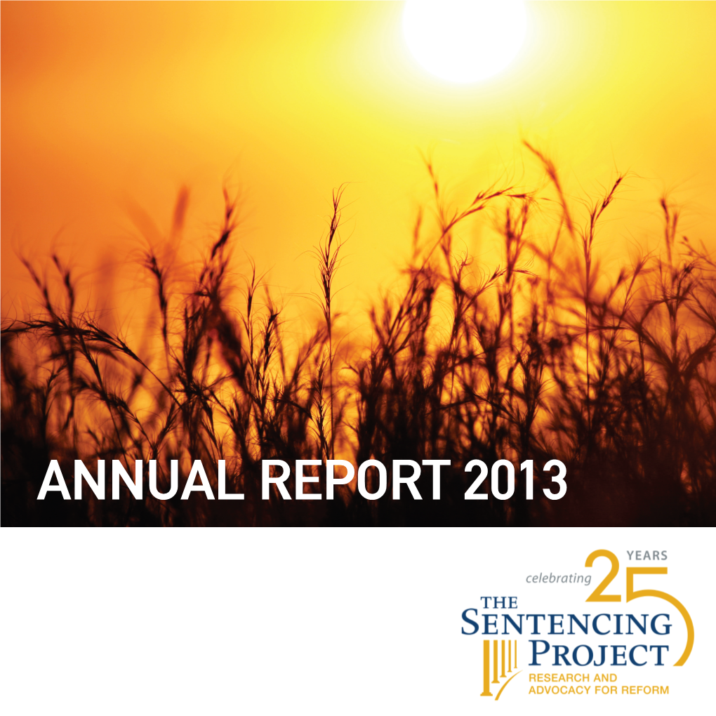 Annual Report 2013