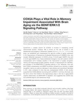COX5A Plays a Vital Role in Memory Impairment Associated with Brain Aging Via the BDNF/ERK1/2 Signaling Pathway