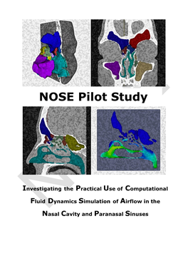 Investigating the Practical Use of Computational Fluid Dynamics Simulation of Airflow in the Nasal Cavity and Paranasal Sinuses NOSE Version 1.0 2018-08-30