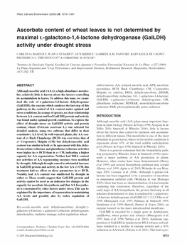 Ascorbate Content of Wheat Leaves Is Not Determined by Maximal L-Galactono-1,4-Lactone Dehydrogenase (Galldh) Activity Under Drought Stress