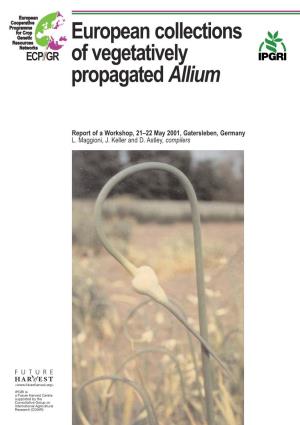 European Collections of Vegetatively Propagated Allium