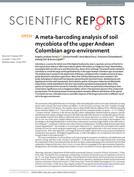 A Meta-Barcoding Analysis of Soil Mycobiota of the Upper Andean Colombian Agro-Environment