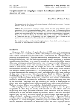 The Paraleucobryoid Campylopus Complex (Leucobryaceae) in South American Páramos