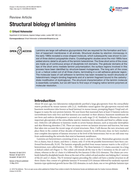 Structural Biology of Laminins