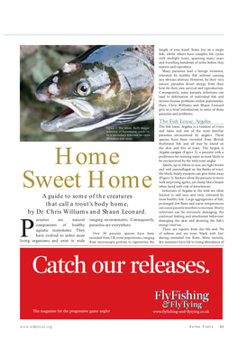 Home Sweet Home — Trout Parasites