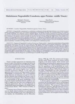 Multielement Neogondolella ( Conodonta, Upper Permian- Middle