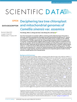 Deciphering Tea Tree Chloroplast and Mitochondrial Genomes of Camellia Sinensis Var