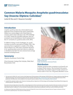Common Malaria Mosquito Anopheles Quadrimaculatus Say (Insecta: Diptera: Culicidae)1 Leslie M