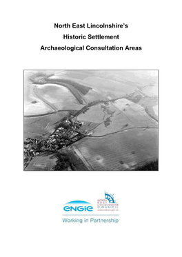 North East Lincolnshire's Historic Settlement Archaeological