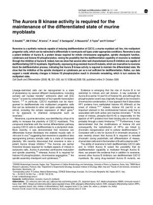 The Aurora B Kinase Activity Is Required for the Maintenance of the Differentiated State of Murine Myoblasts