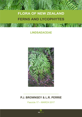 Flora of New Zealand Ferns and Lycophytes