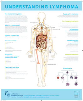 The Lymphatic System What Is Lymphoma?