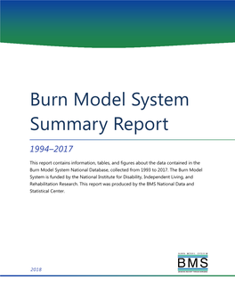 Burn Model System Summary Report