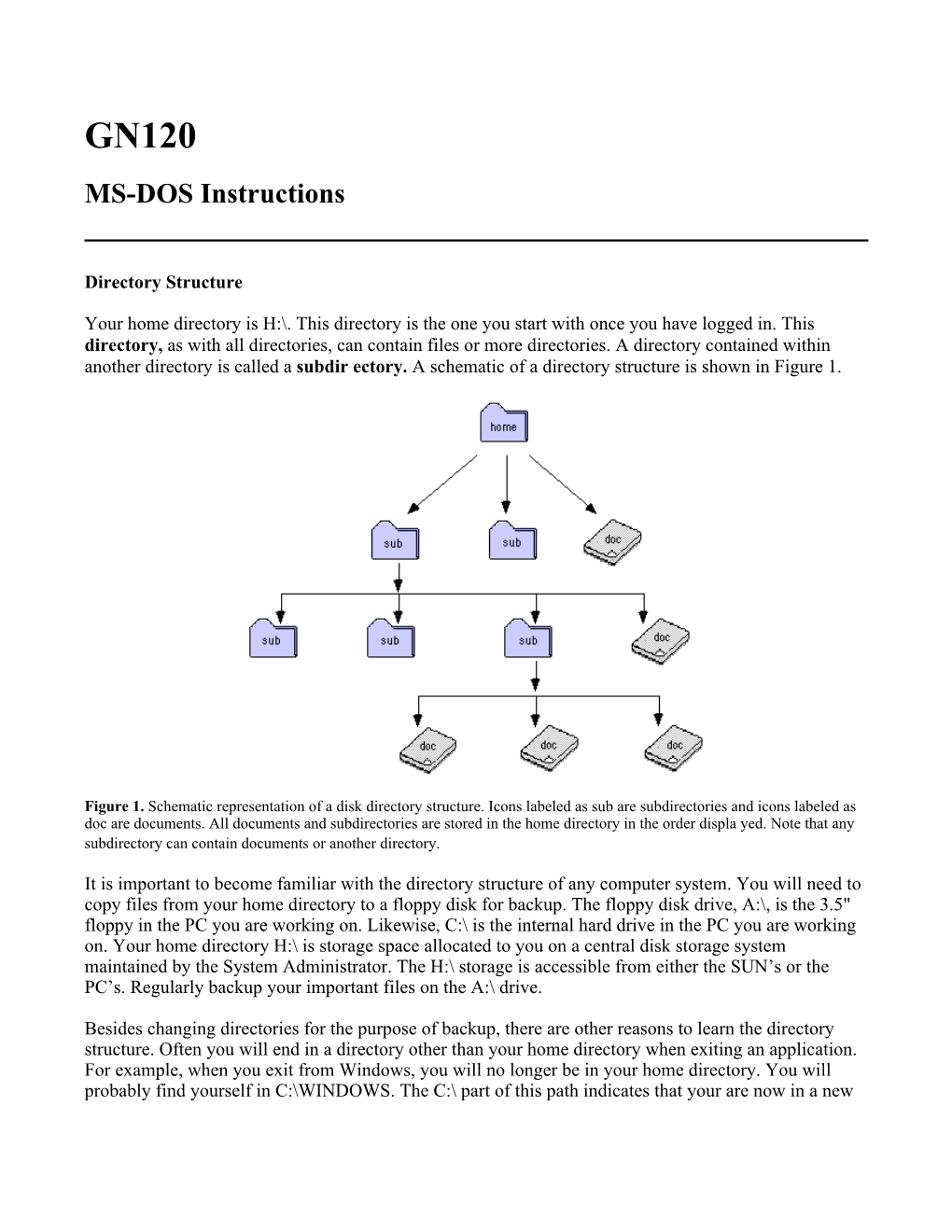 MS-DOS Instructions