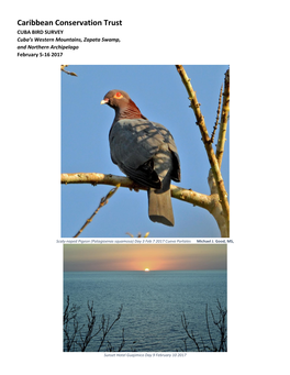 Caribbean Conservation Trust CUBA BIRD SURVEY Cuba’S Western Mountains, Zapata Swamp, and Northern Archipelago February 5-16 2017