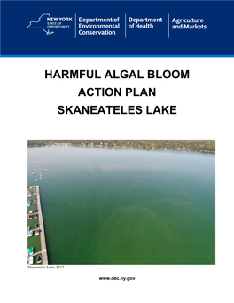 Harmful Algal Bloom Action Plan Skaneateles Lake