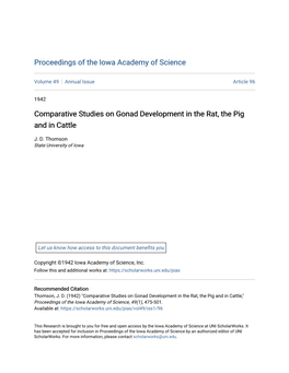 Comparative Studies on Gonad Development in the Rat, the Pig and in Cattle