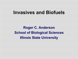 Invasives and Biofuels