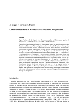 A. Coppi, F. Selvi & M. Bigazzi Chromosome Studies In