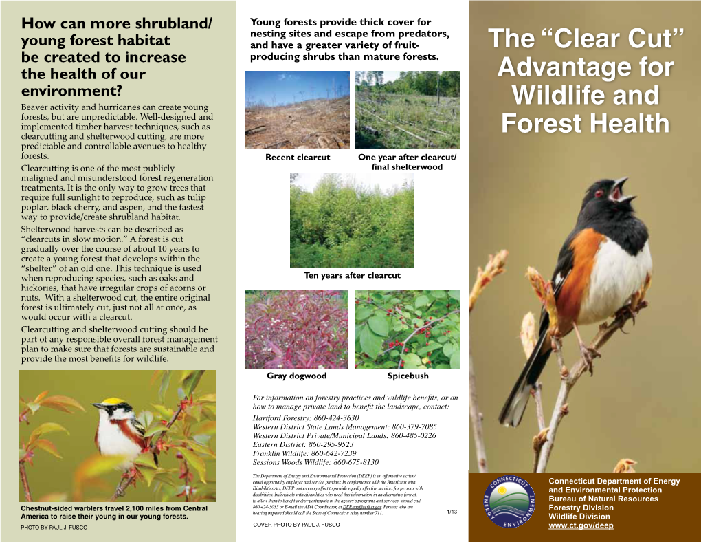 The "Clear Cut" Advantage for Wildlife and Forest Health