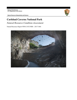 Carlsbad Caverns National Park Natural Resource Condition Assessment