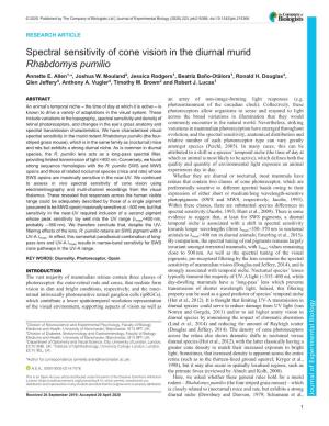 Spectral Sensitivity of Cone Vision in the Diurnal Murid Rhabdomys Pumilio Annette E