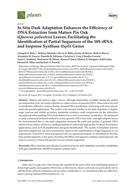 In Situ Dark Adaptation Enhances the Efficiency of DNA Extraction From