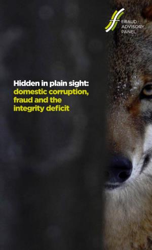 Hidden in Plain Sight: Domestic Corruption, Fraud and the Integrity Deficit ‘Corruption Remains One of the Most Pressing Challenges of Our Time