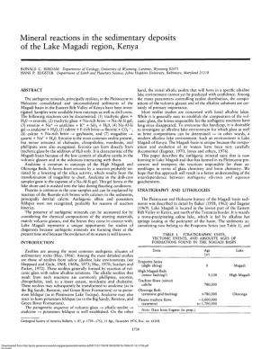 Mineral Reactions in the Sedimentary Deposits of the Lake Magadi Region, Kenya