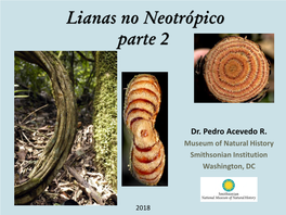 Lianas No Neotropico