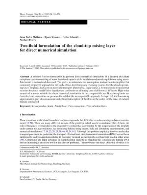Two-Fluid Formulation of the Cloud-Top Mixing Layer for Direct Numerical