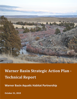 Warner Basin Strategic Action Plan – Technical Report