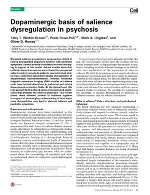 Dopaminergic Basis of Salience Dysregulation in Psychosis
