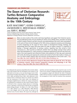Turtles Between Comparative Anatomy and Embryology in the 19Th Century KATE MACCORD1*, GUIDO CANIGLIA1, JACQUELINE E