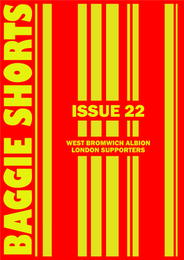 Baggie Shorts Issue 22
