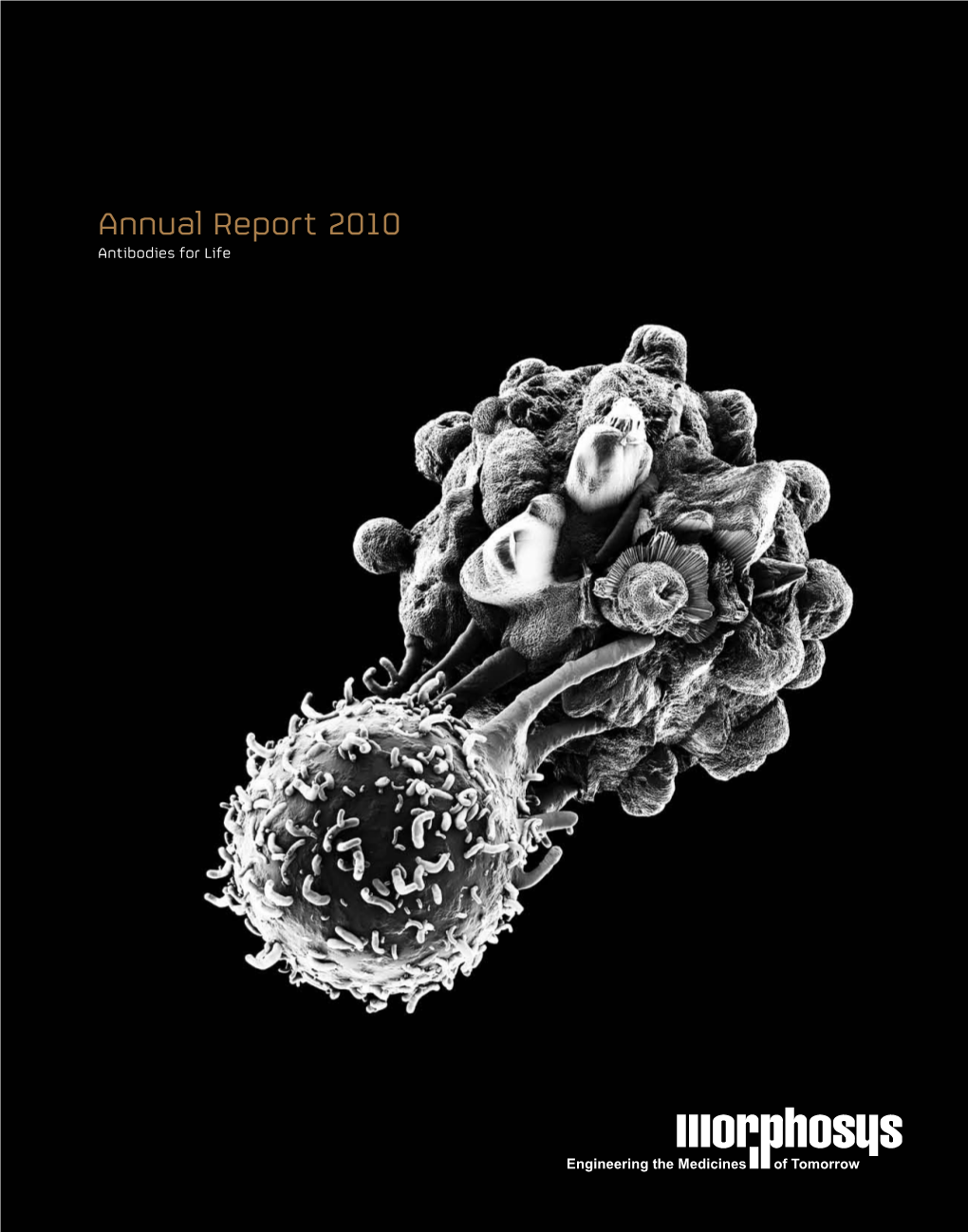 Annual Report 2010 Morphosys AG Antibodies for Life for Antibodies 2010 Report Annual Key Figures (IFRS) Product Pipeline